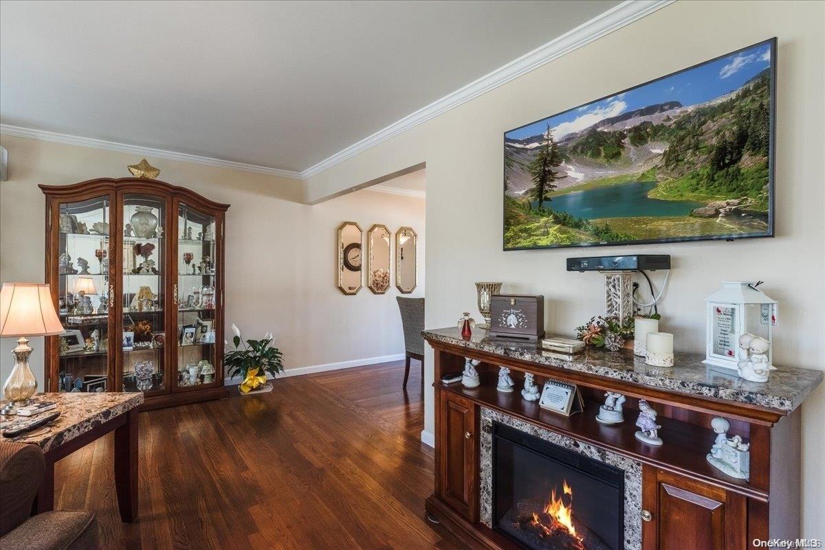 81 Avoca Avenue — photo 6