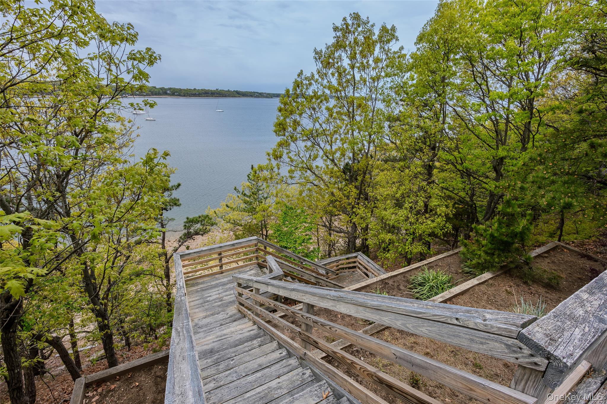 10 Pine Path — photo 42