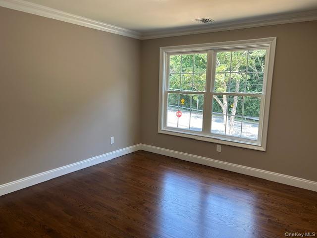 110B Louis Street — photo 12