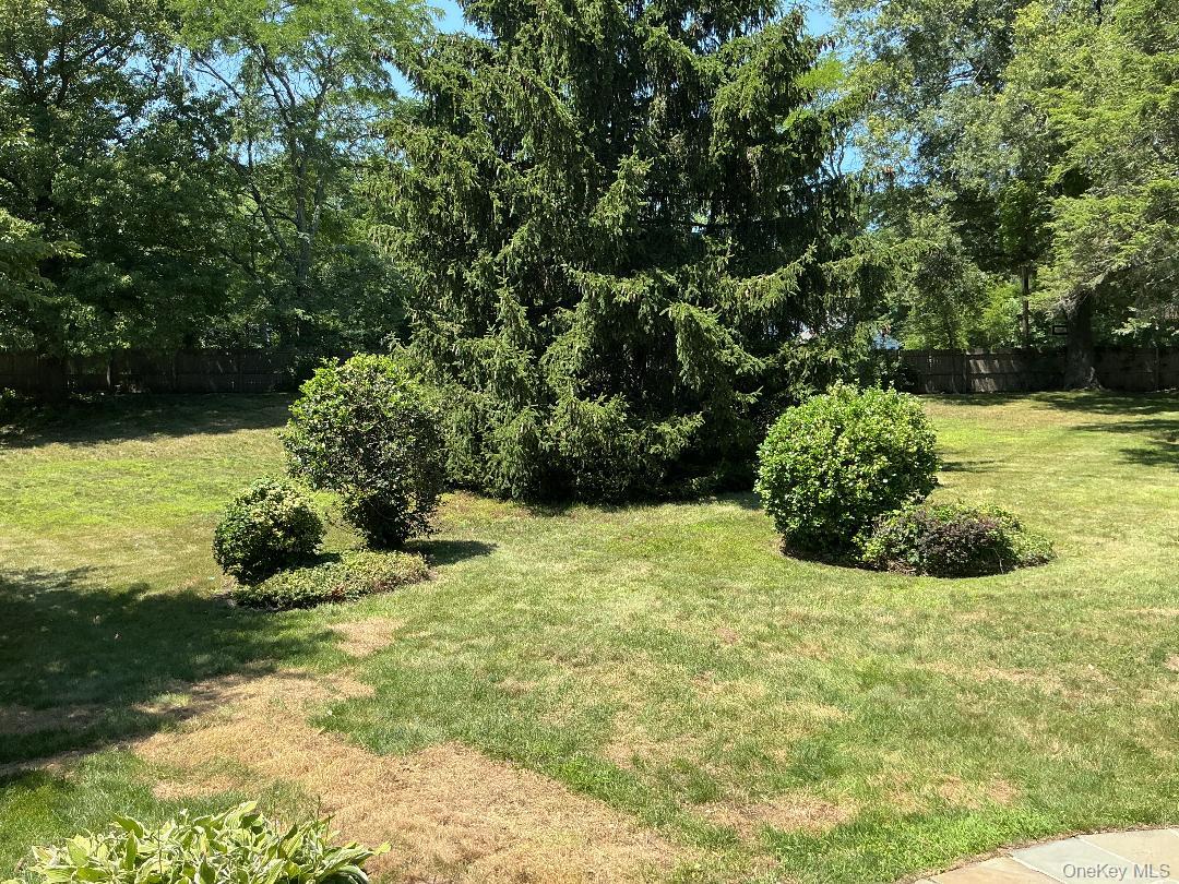 19 MICHAELS Lane — photo 40