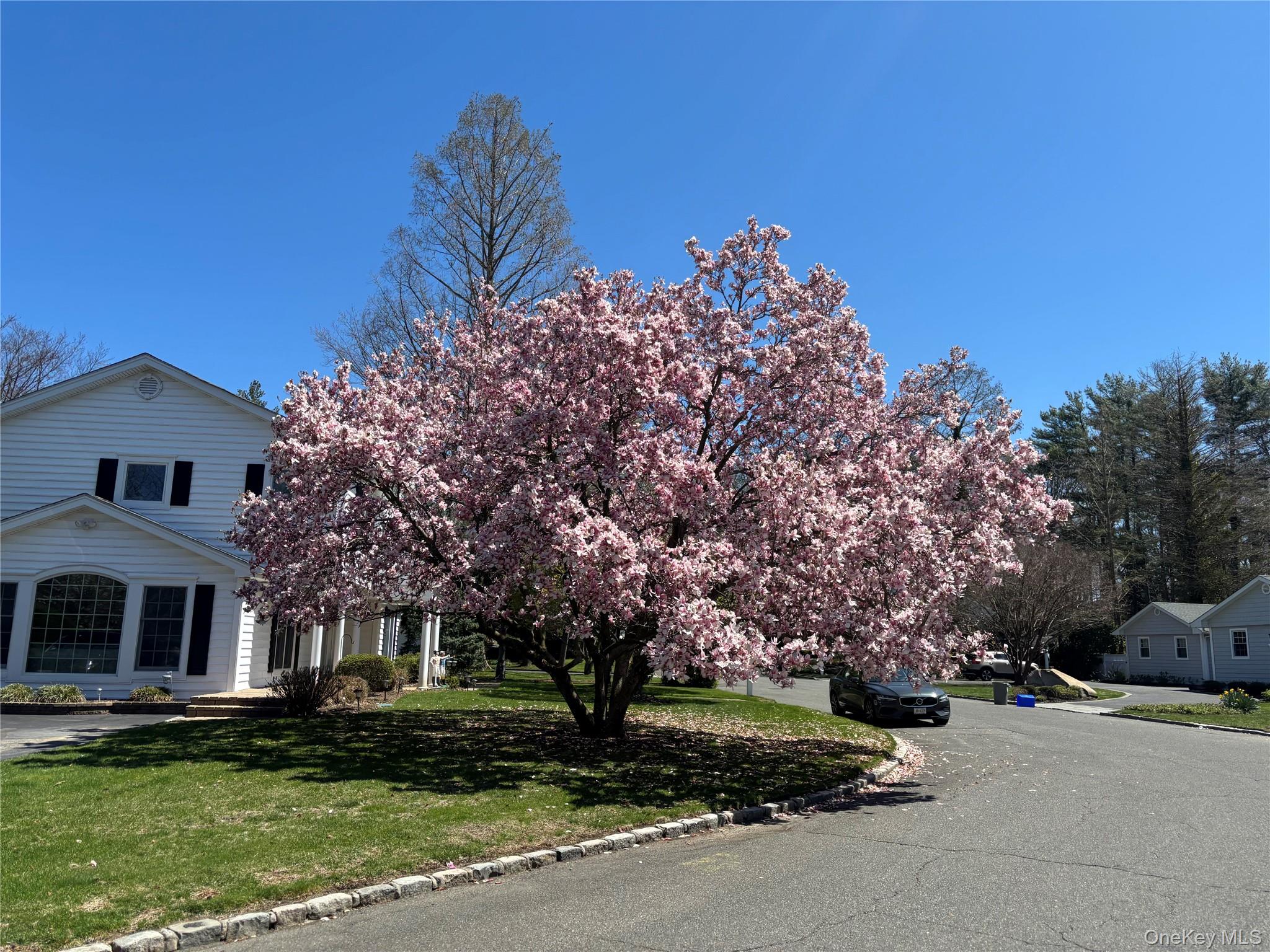 3 Hickory Lane — photo 49