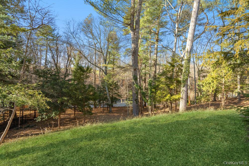 89 Mill River Road — photo 38