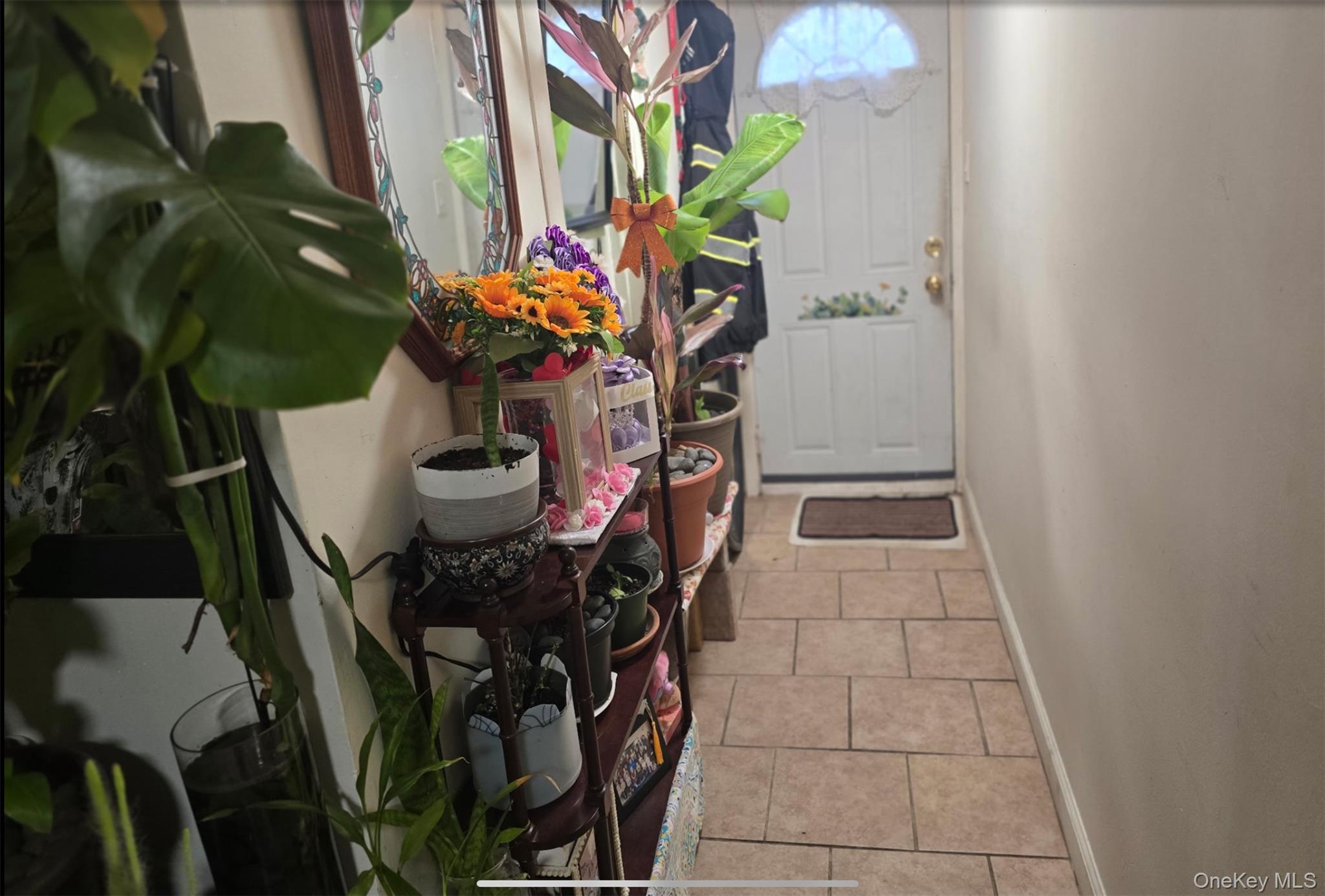 5 Campion Street — photo 9
