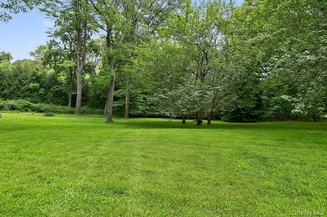 343 Chicken Valley Road — photo 42