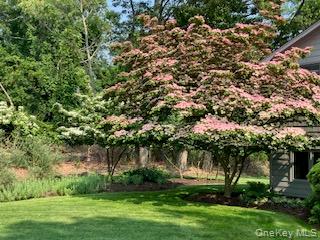 5 Shore Drive — photo 26