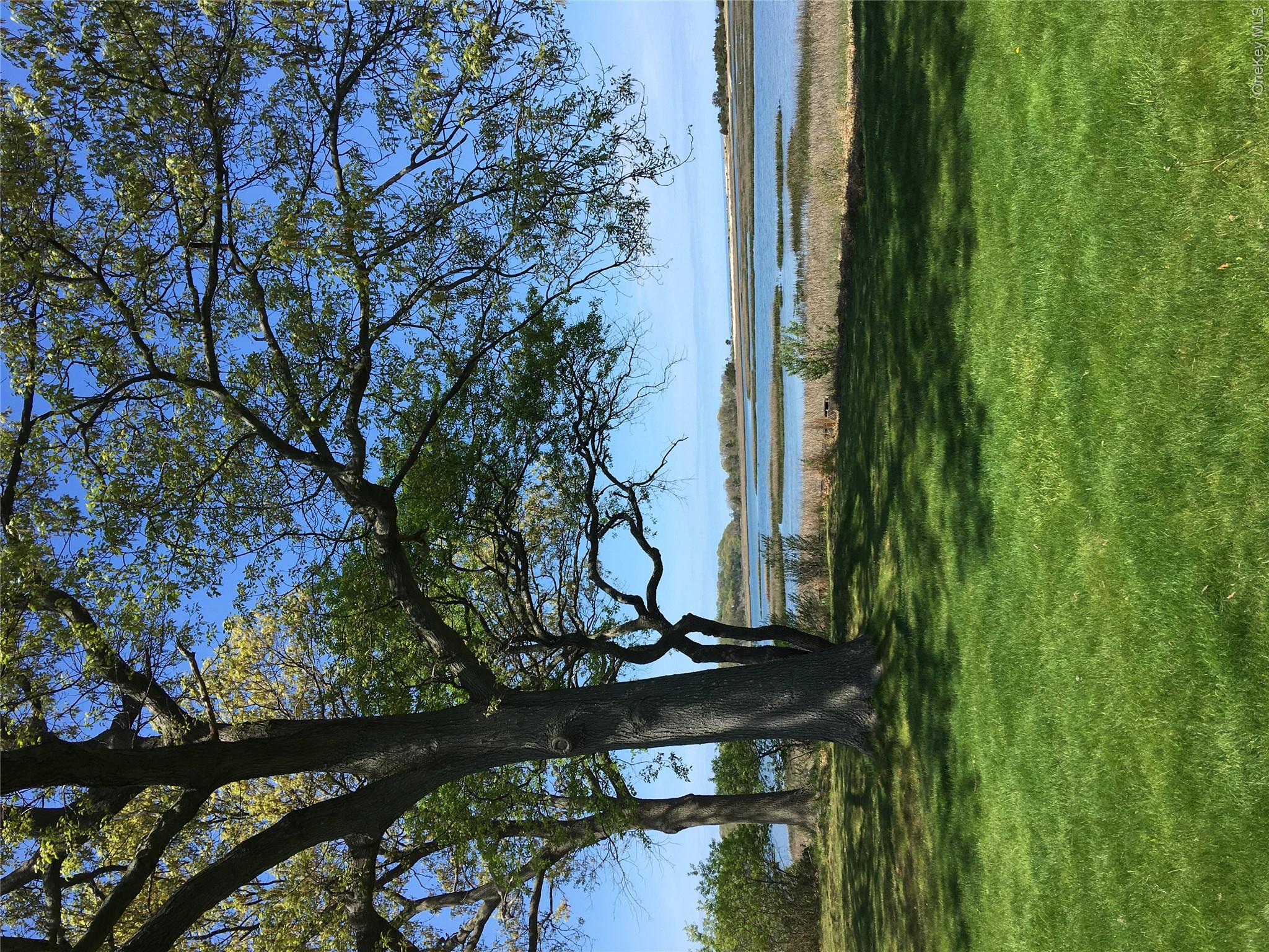 5 Shore Drive — photo 31