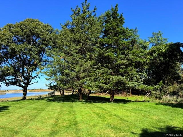 5 Shore Drive — photo 32
