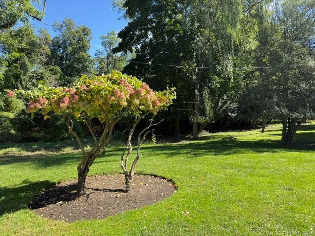 5 Shore Drive — photo 39