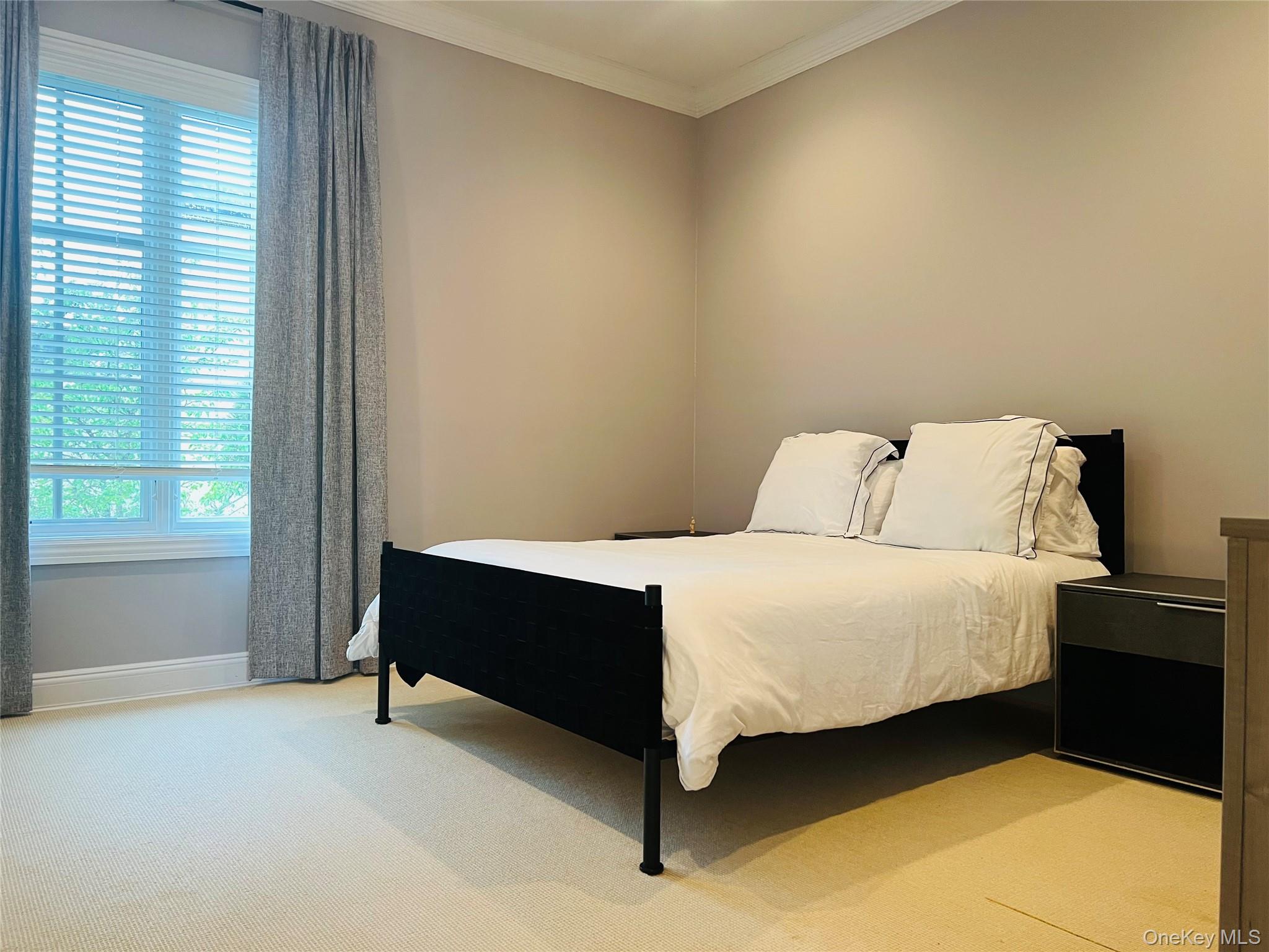 9 Earle Drive — photo 18