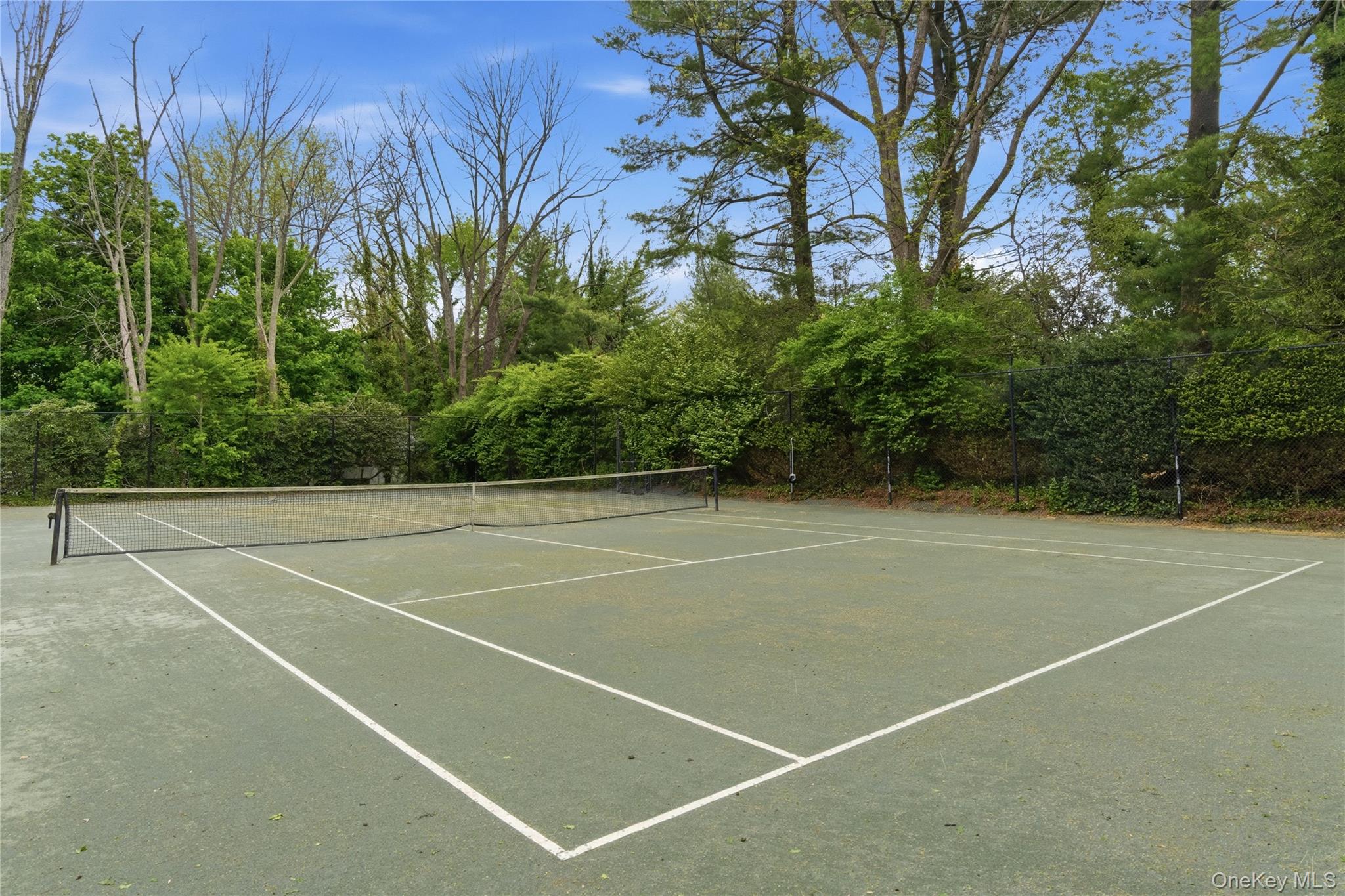 93 Hoaglands Lane — photo 44
