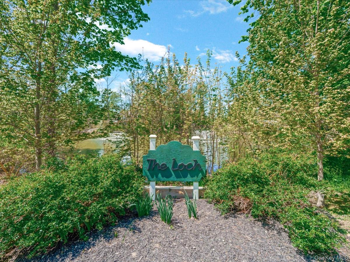 16 THE LOCH — photo 46