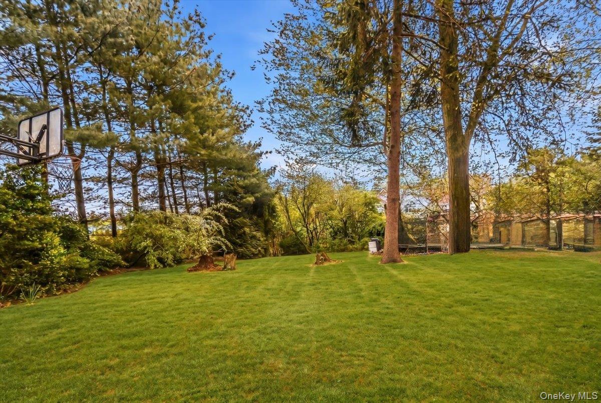 21 Chauncey Place — photo 46