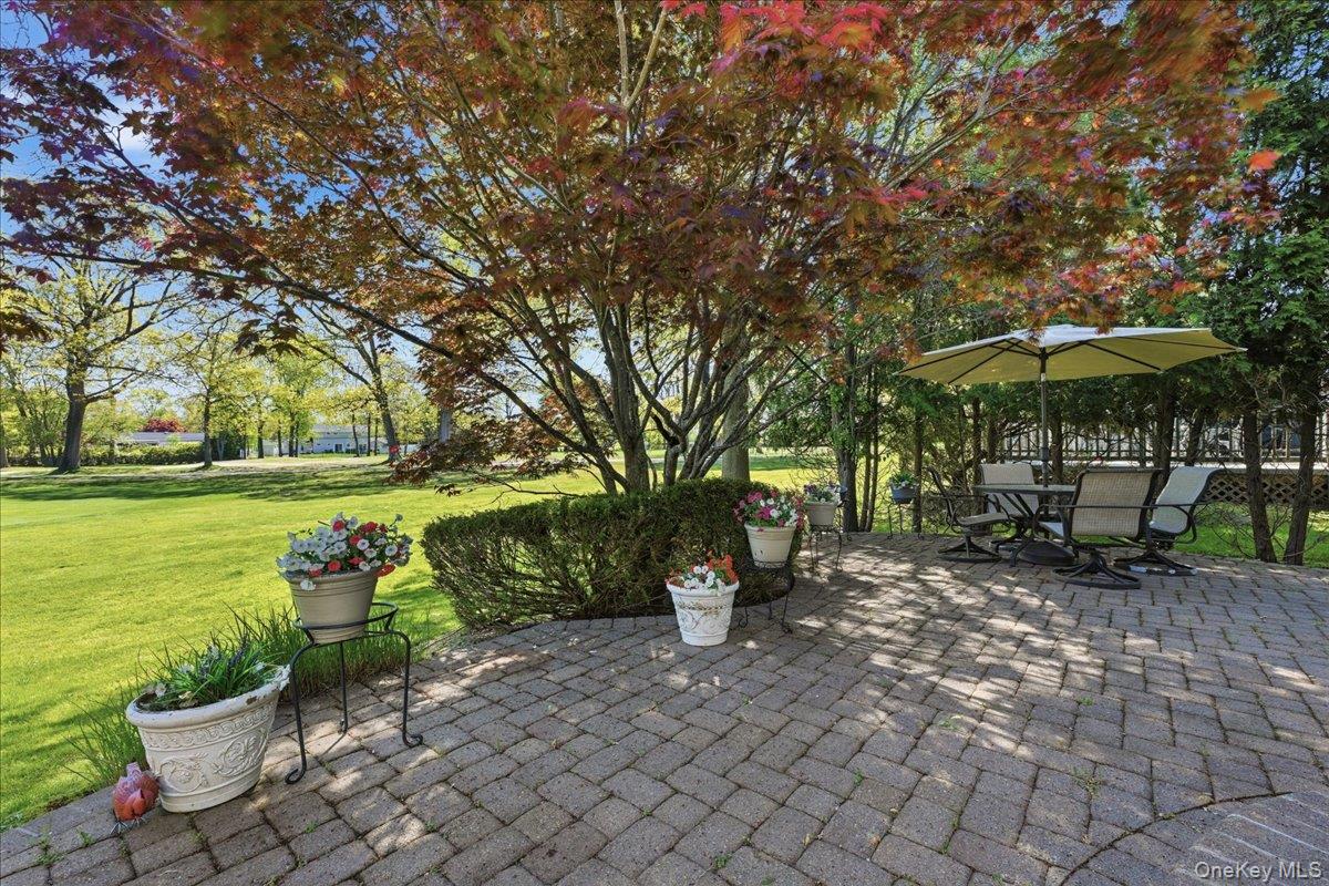 65 Redan Drive — photo 35