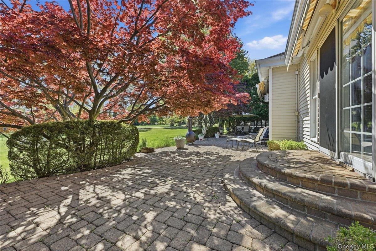 65 Redan Drive — photo 39