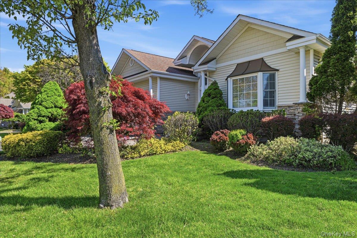 65 Redan Drive — photo 43