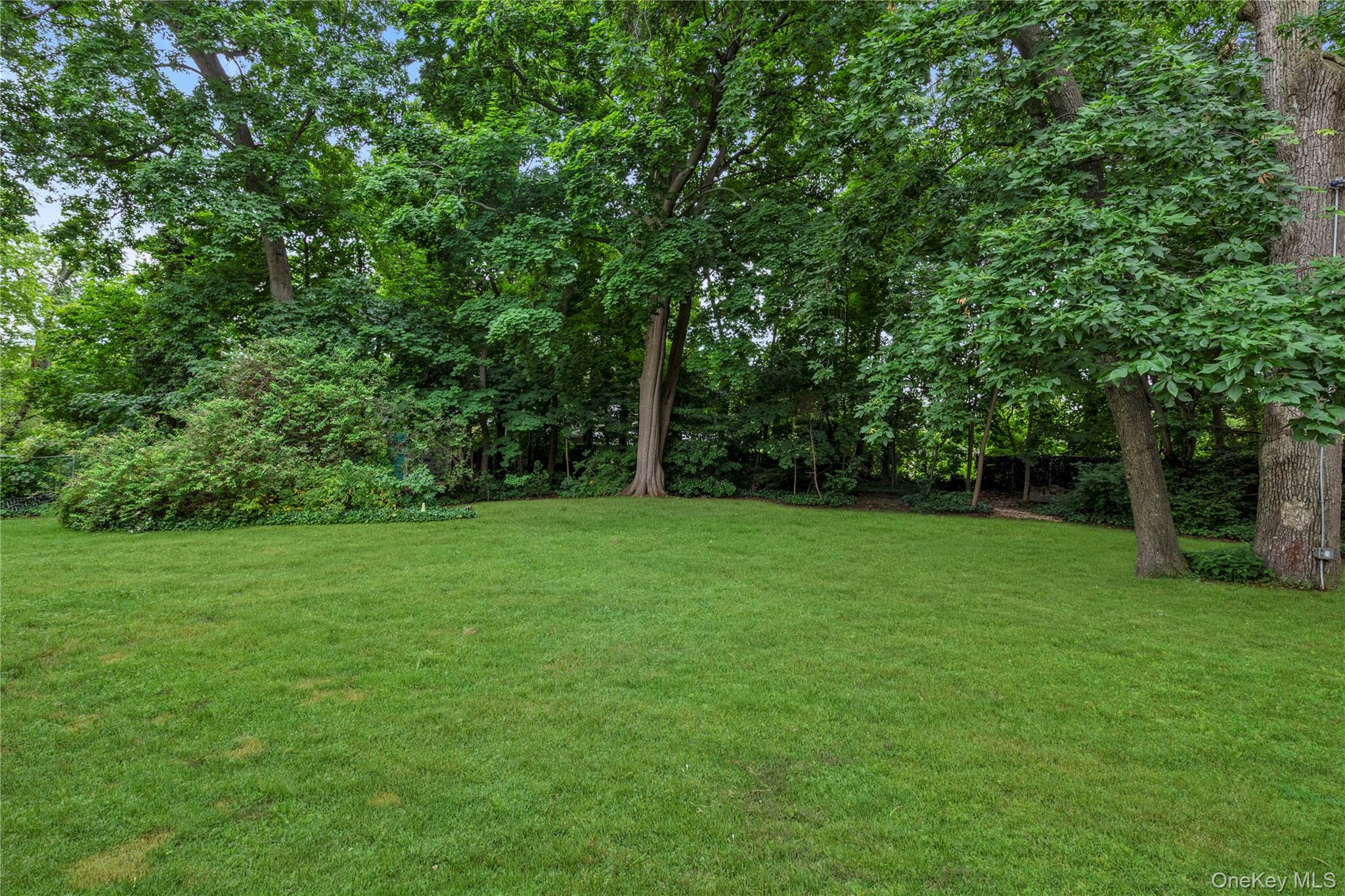 81 Union Avenue — photo 13