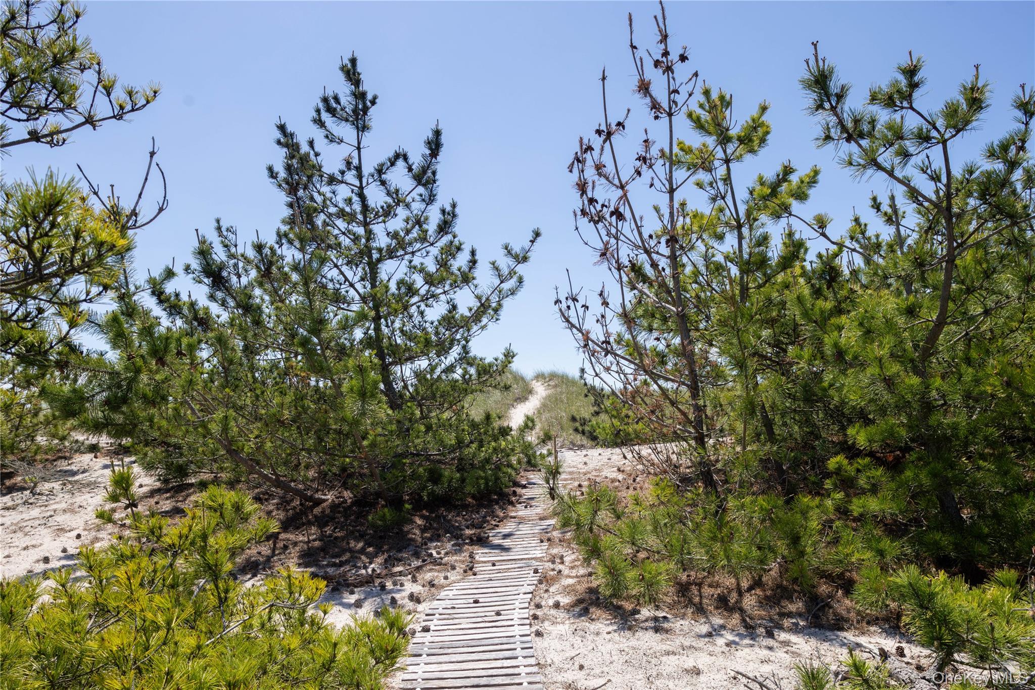 398 Dune Road — photo 5