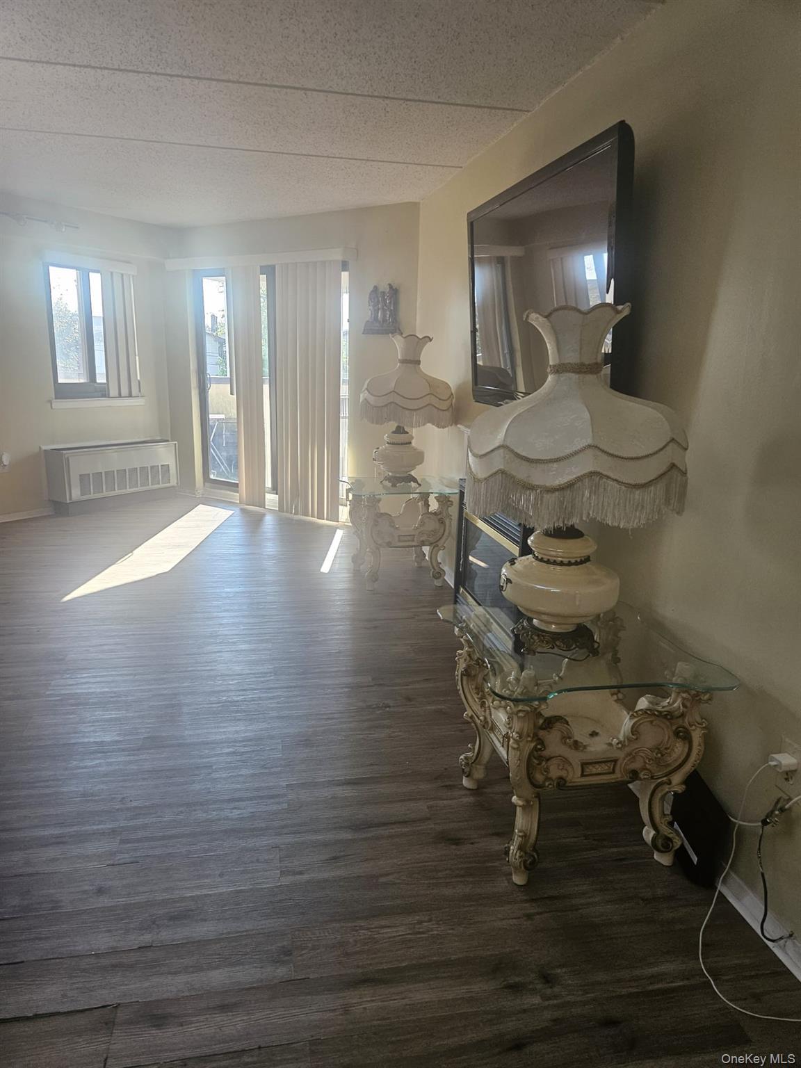 725 Miller Avenue #221, Freeport