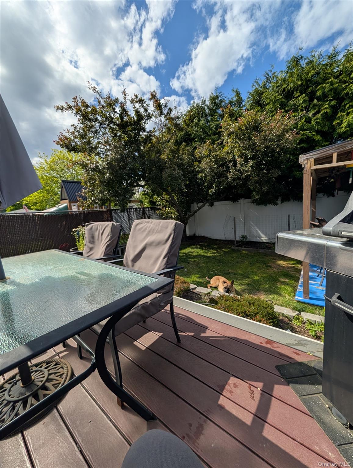 35 Jackson Avenue — photo 12