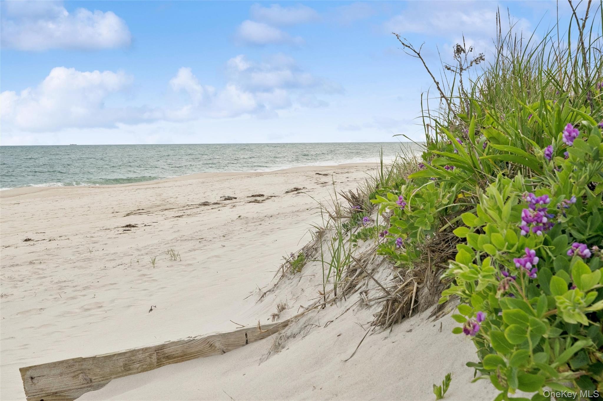 281 Dune Road #17B — photo 25