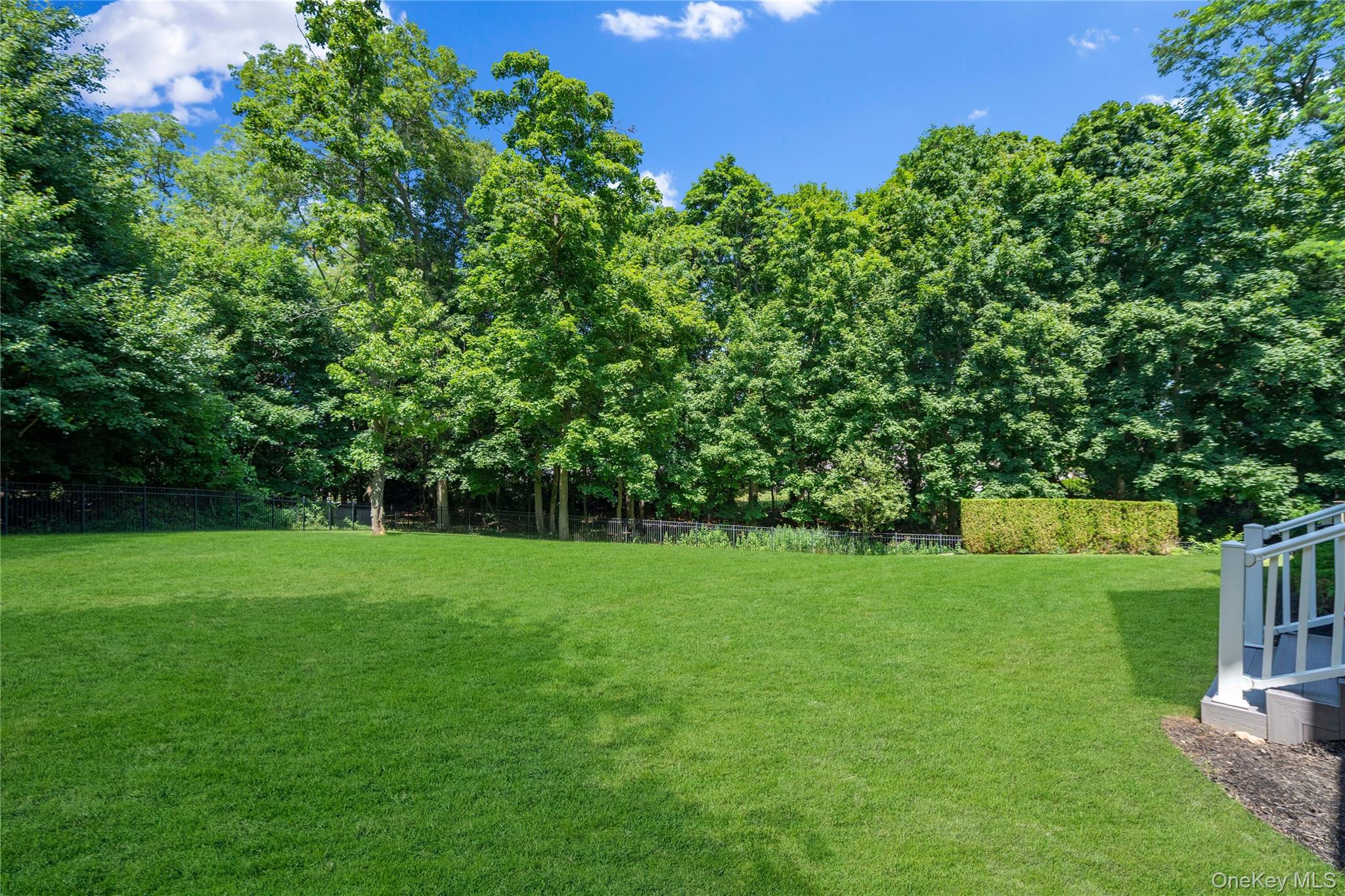 5 Buckingham Court — photo 37