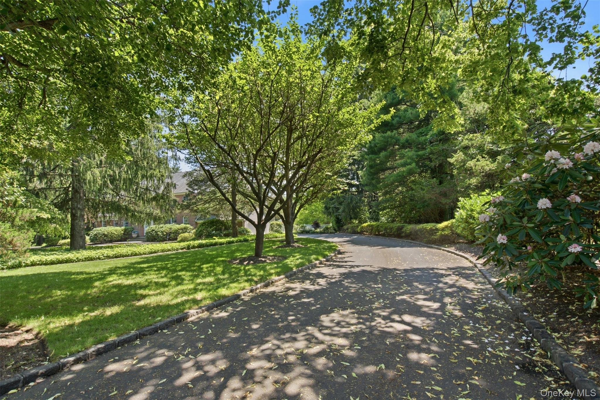 61 Linden Lane — photo 2