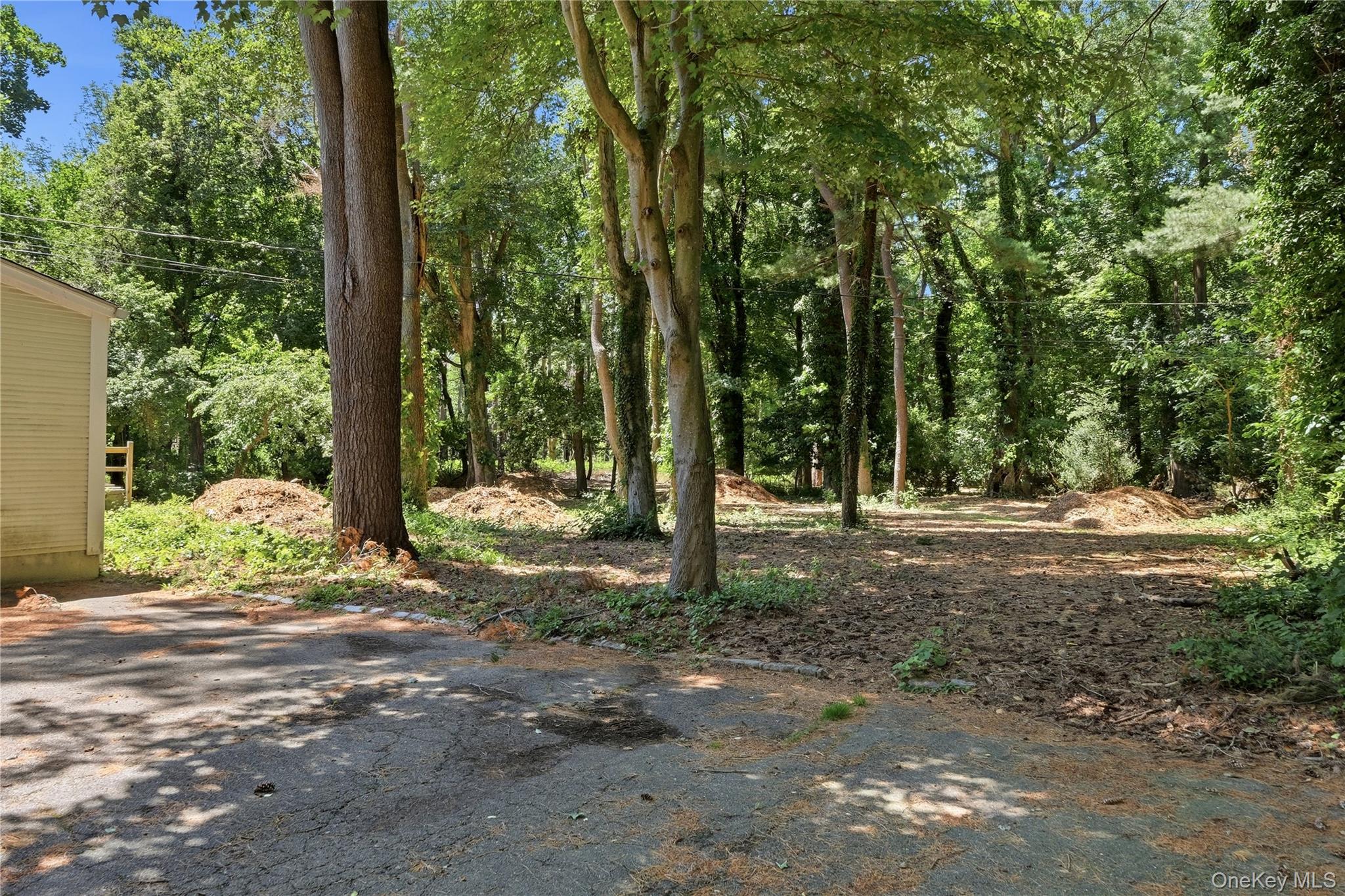 19 Pheasant Hill Lane — photo 31