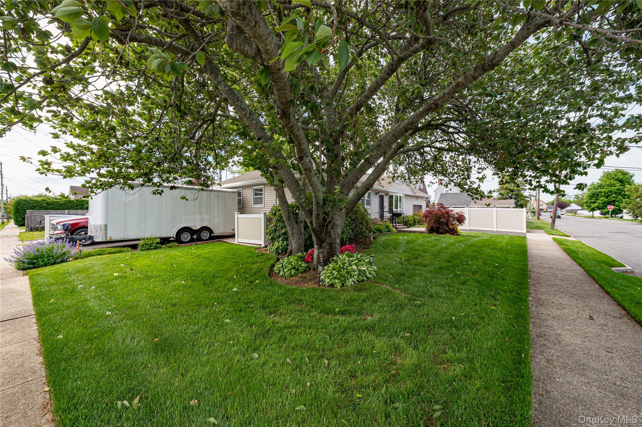 19 Buchanan Avenue — photo 5