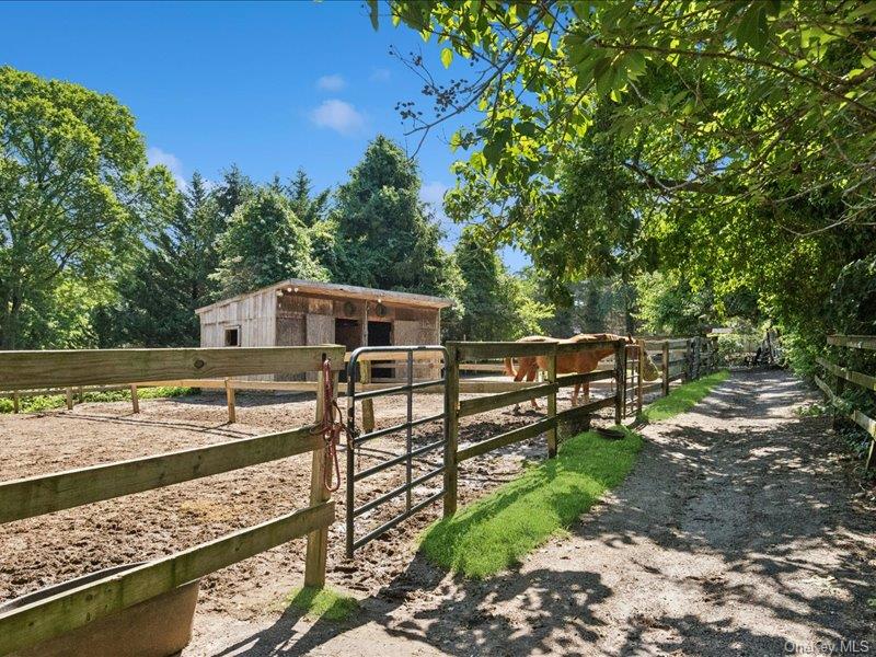 386 Bread And Cheese Hollow Road — photo 23