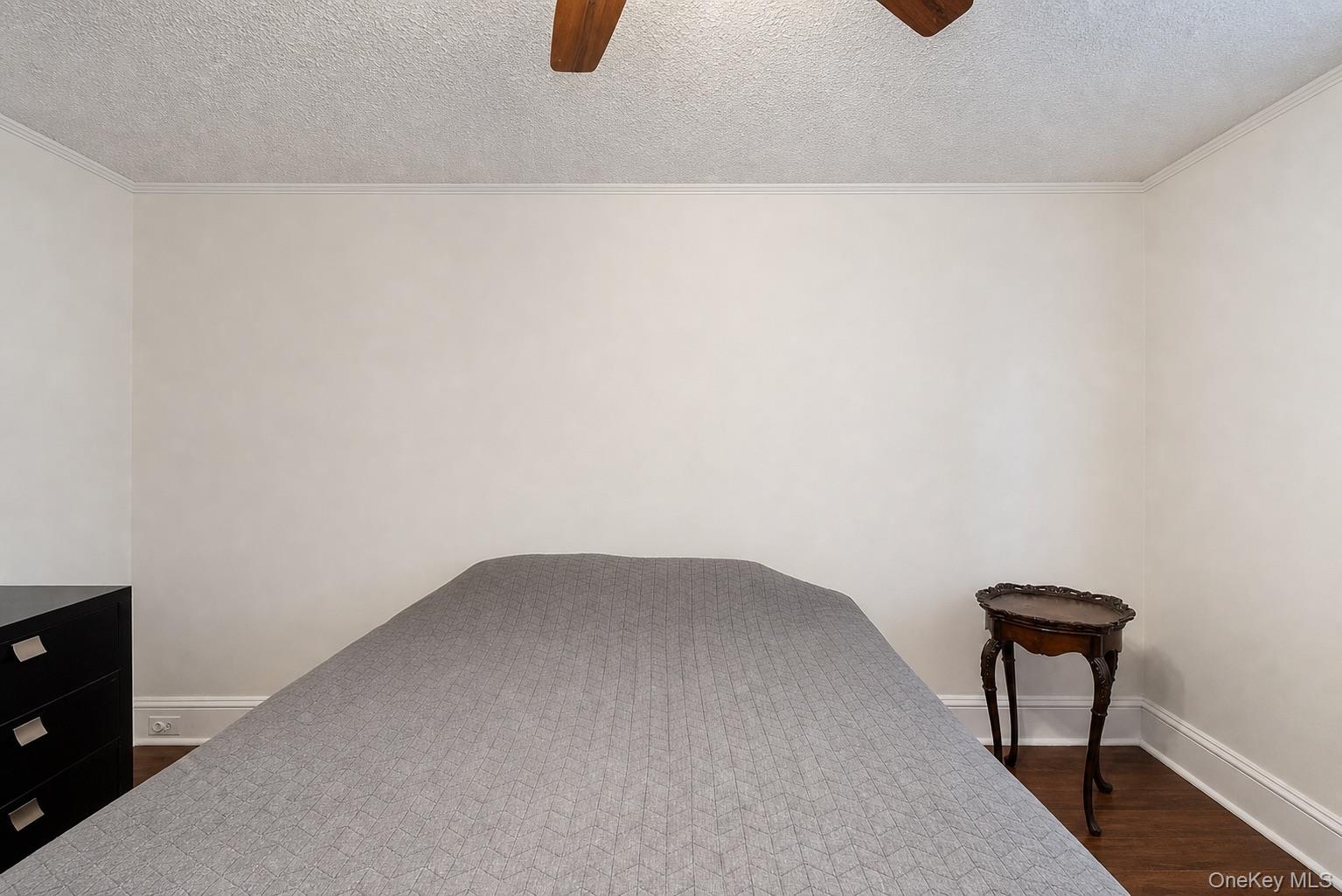 27 Avondale Street — photo 17