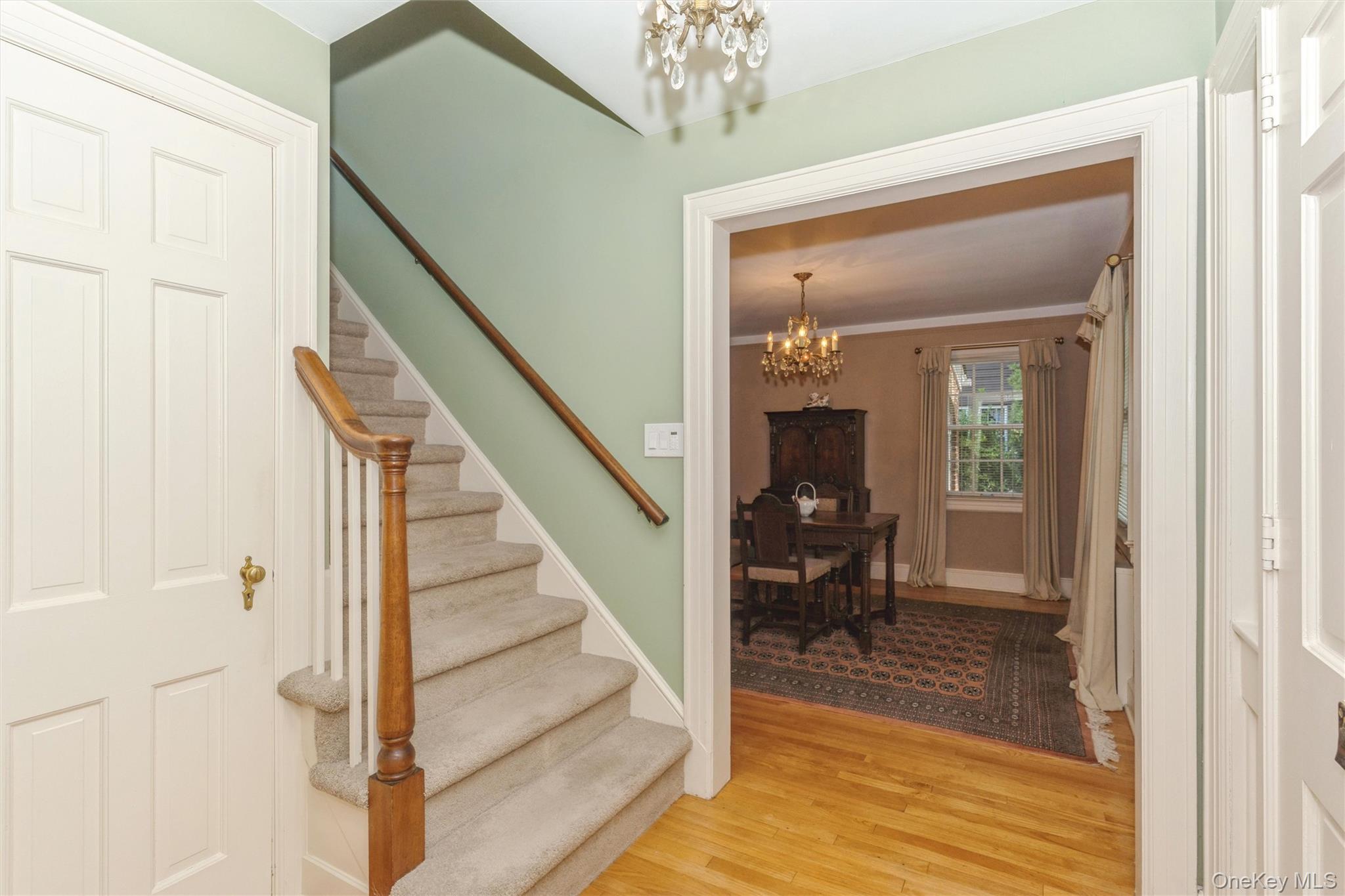 8 Orchid Street — photo 4