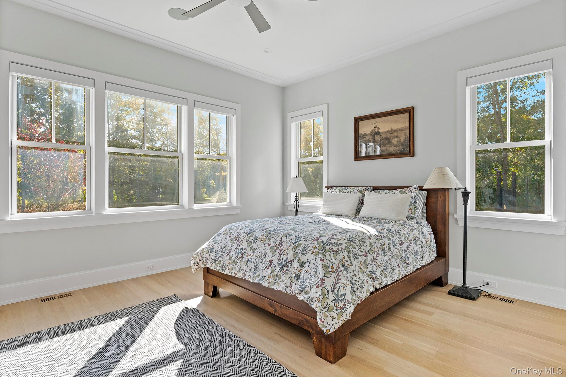 41 Arbutus Road — photo 15