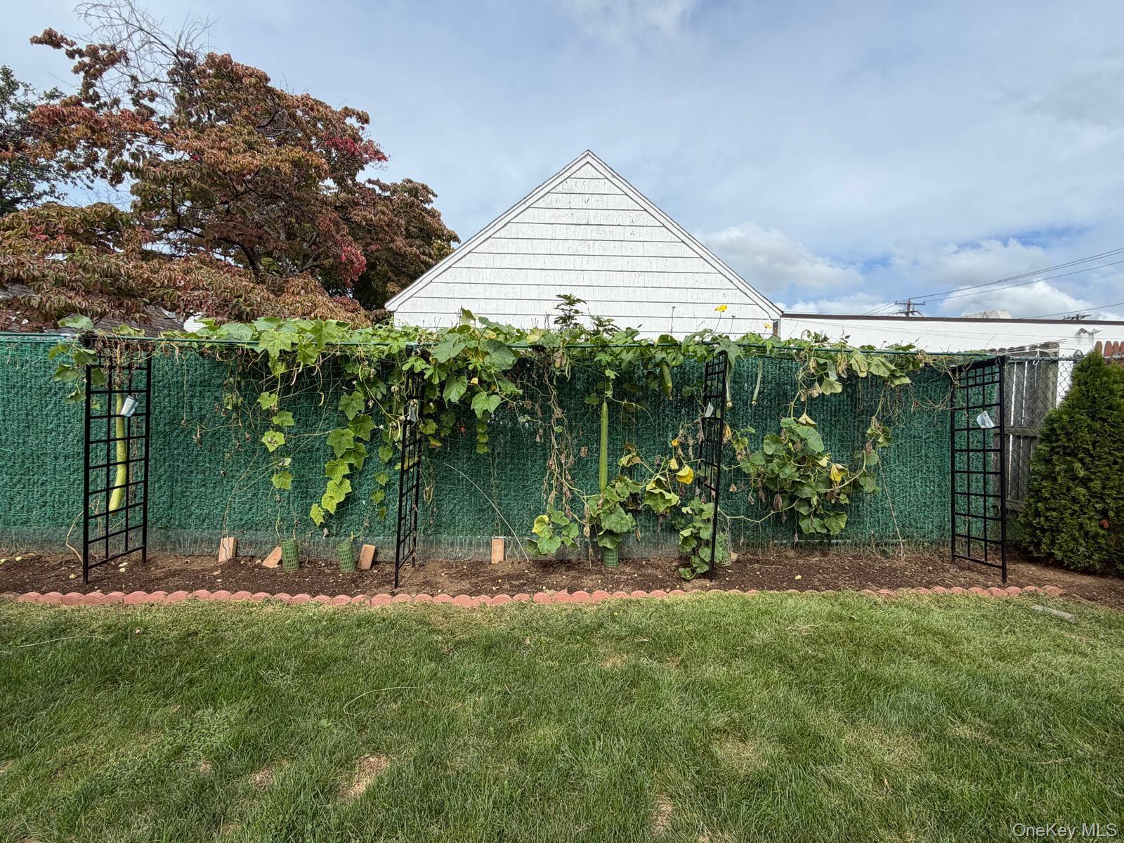 148 Canterbury Road — photo 30