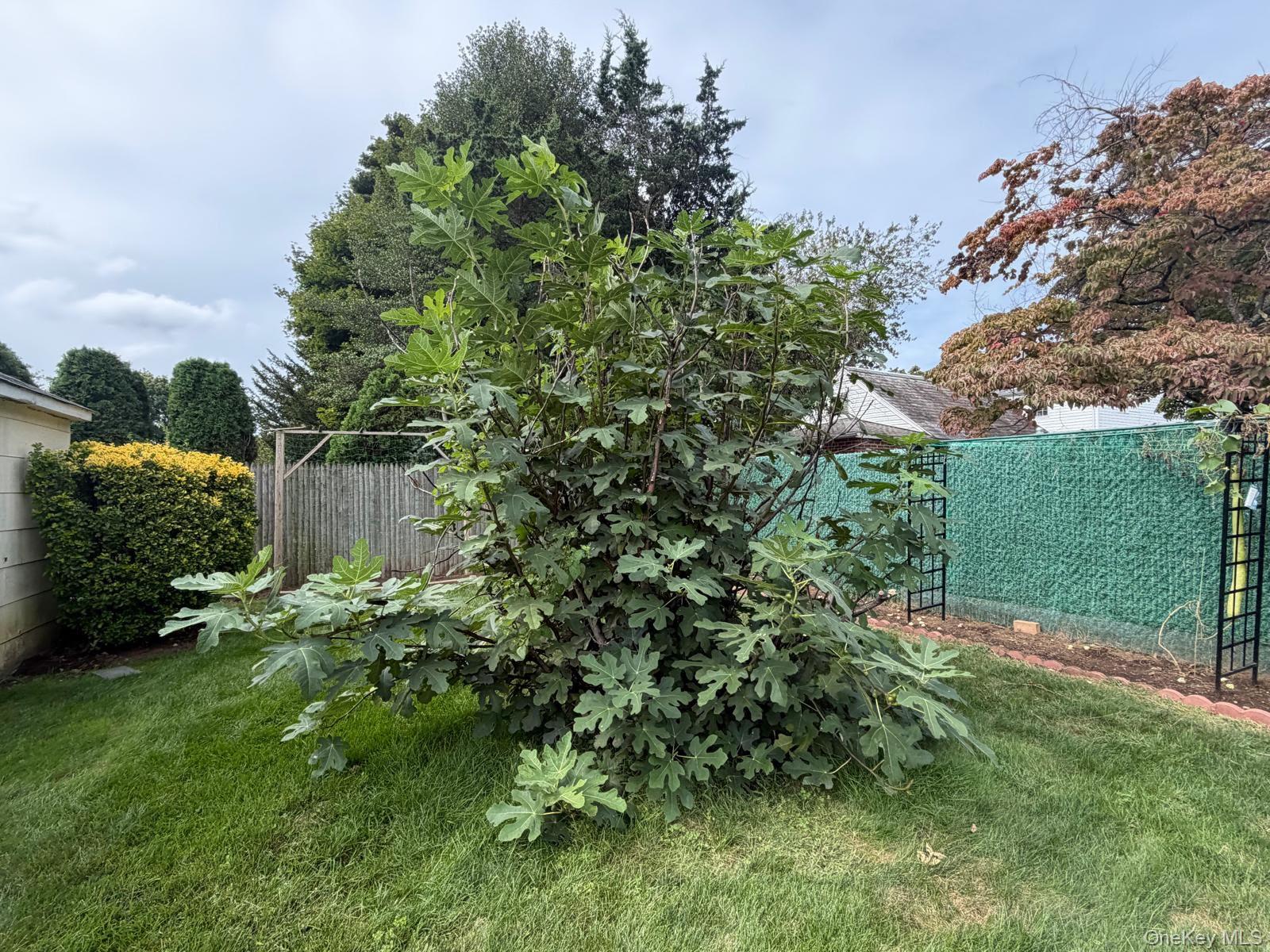148 Canterbury Road — photo 34