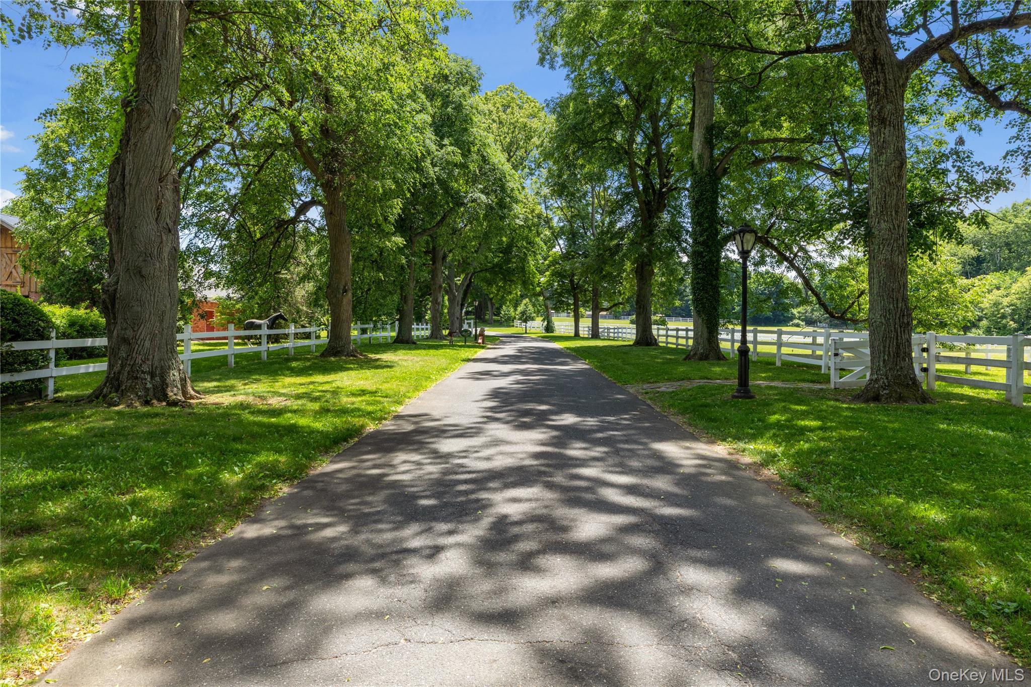 97 A Pound Hollow Road — photo 5