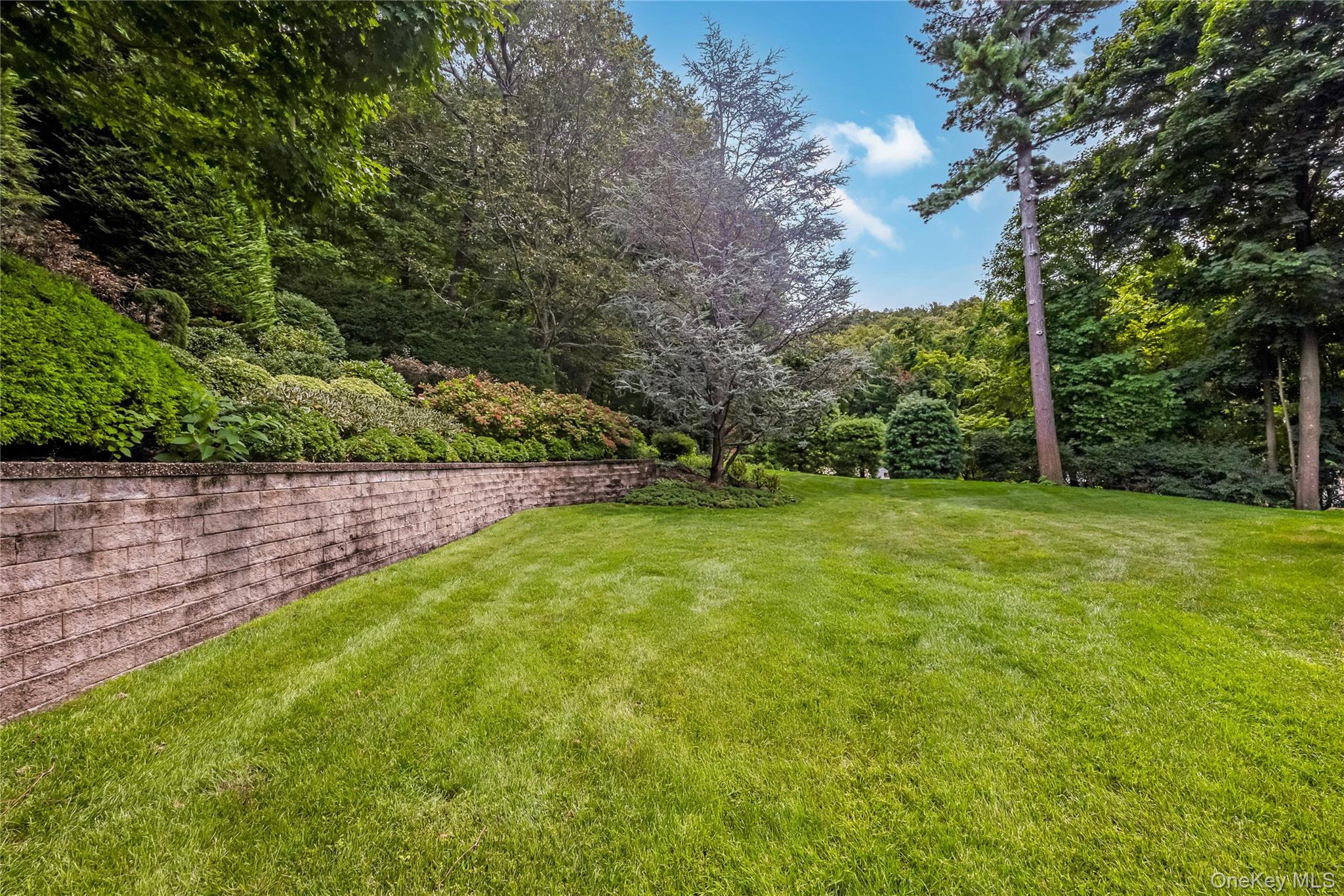 230 Woodbine Avenue — photo 43