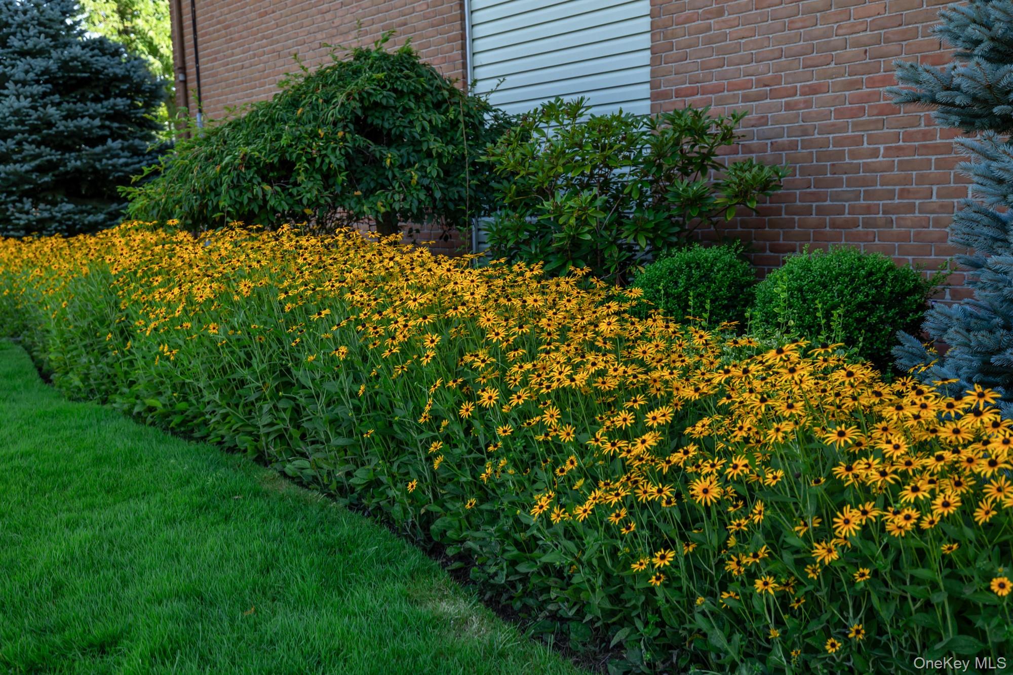 748 Deer Park Avenue #7H — photo 5