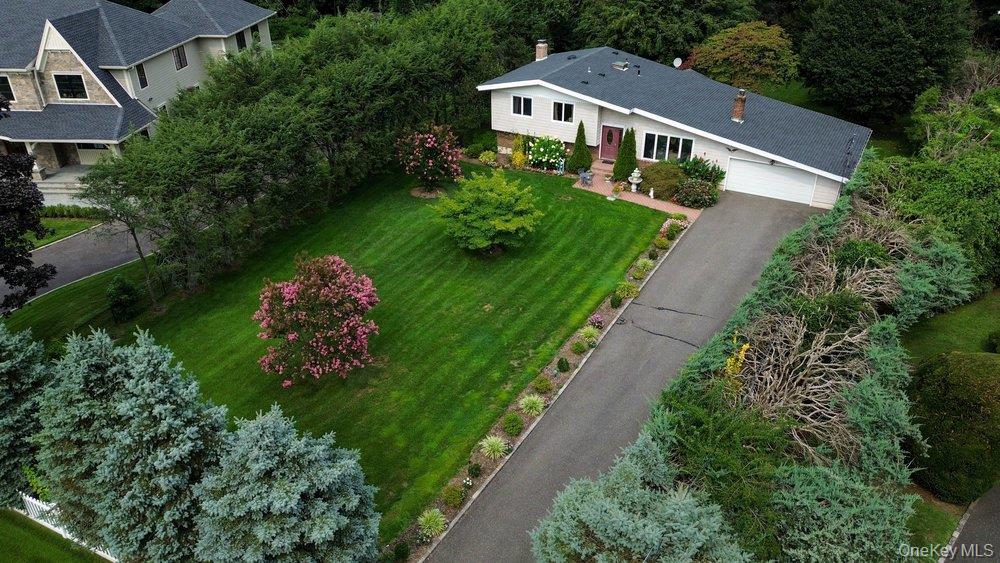 11 Laurie Place — photo 3