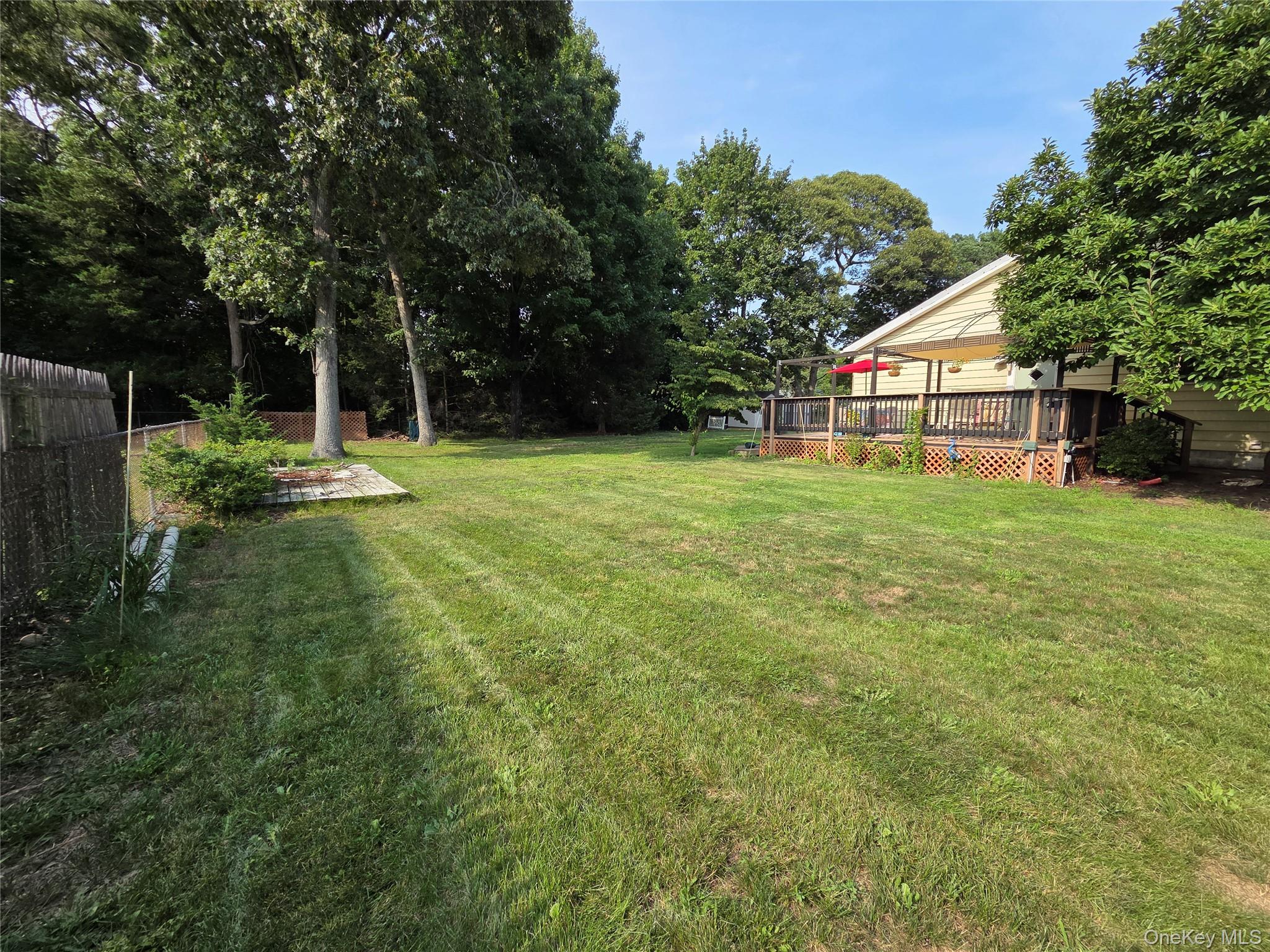 33 Elmwood Avenue — photo 40