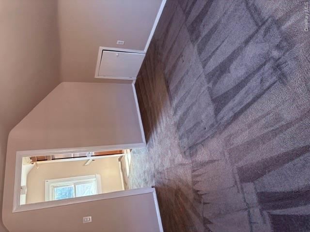 1435 Alpha Street — photo 13