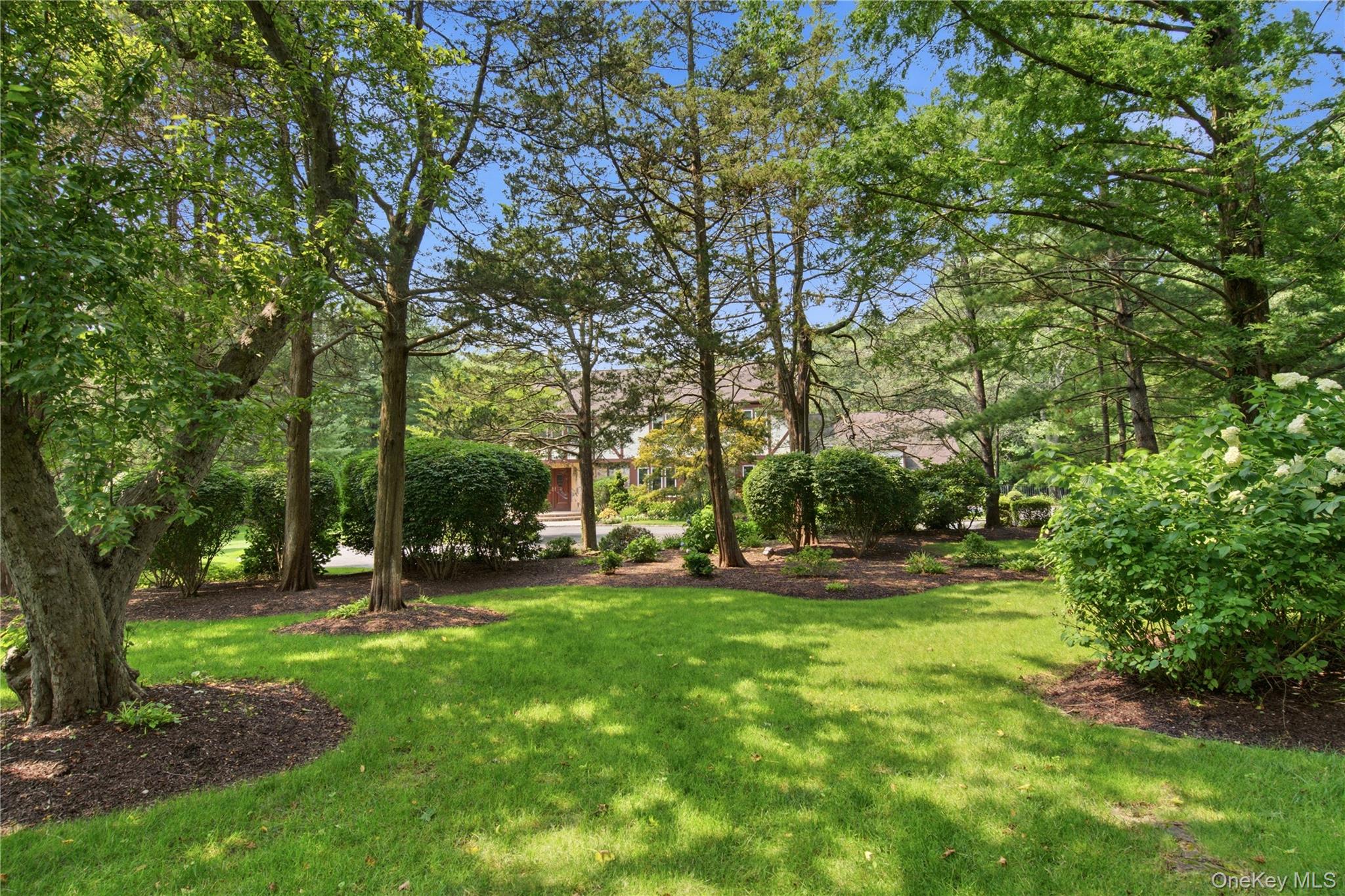 27 Amber Lane — photo 3