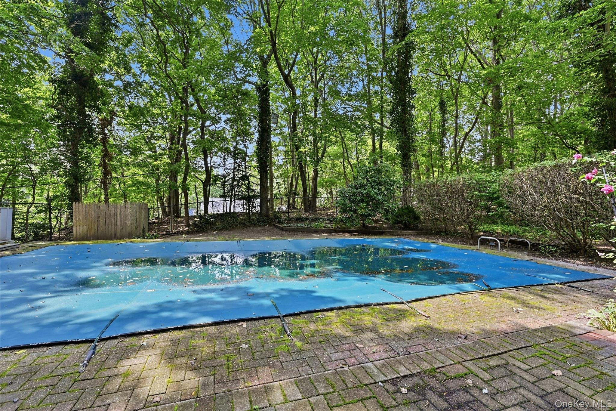 31 Sands Lane — photo 35