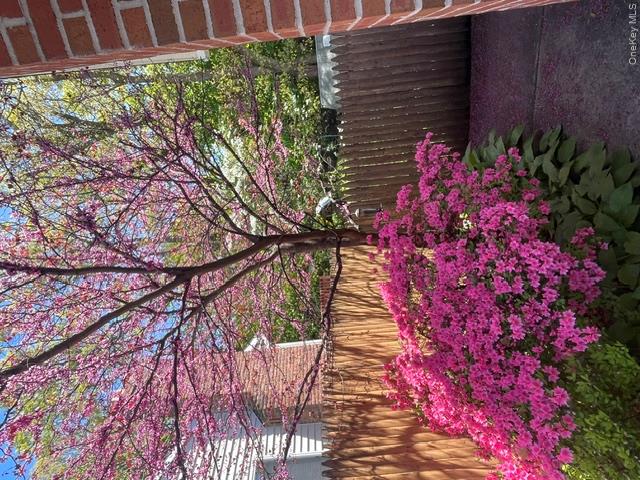 38 Montauk Road — photo 18