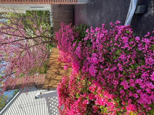 38 Montauk Road — photo 19