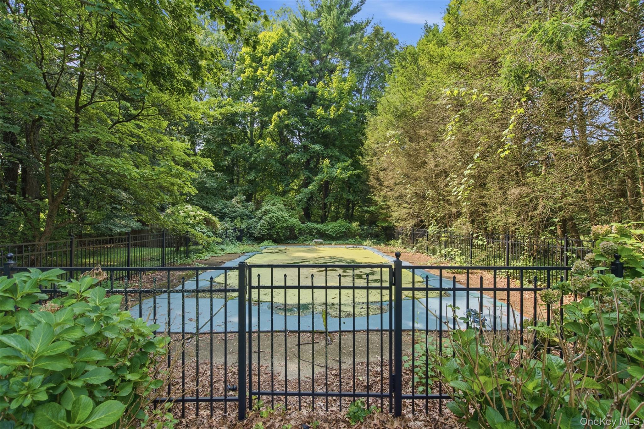 897 Ripley Lane — photo 37
