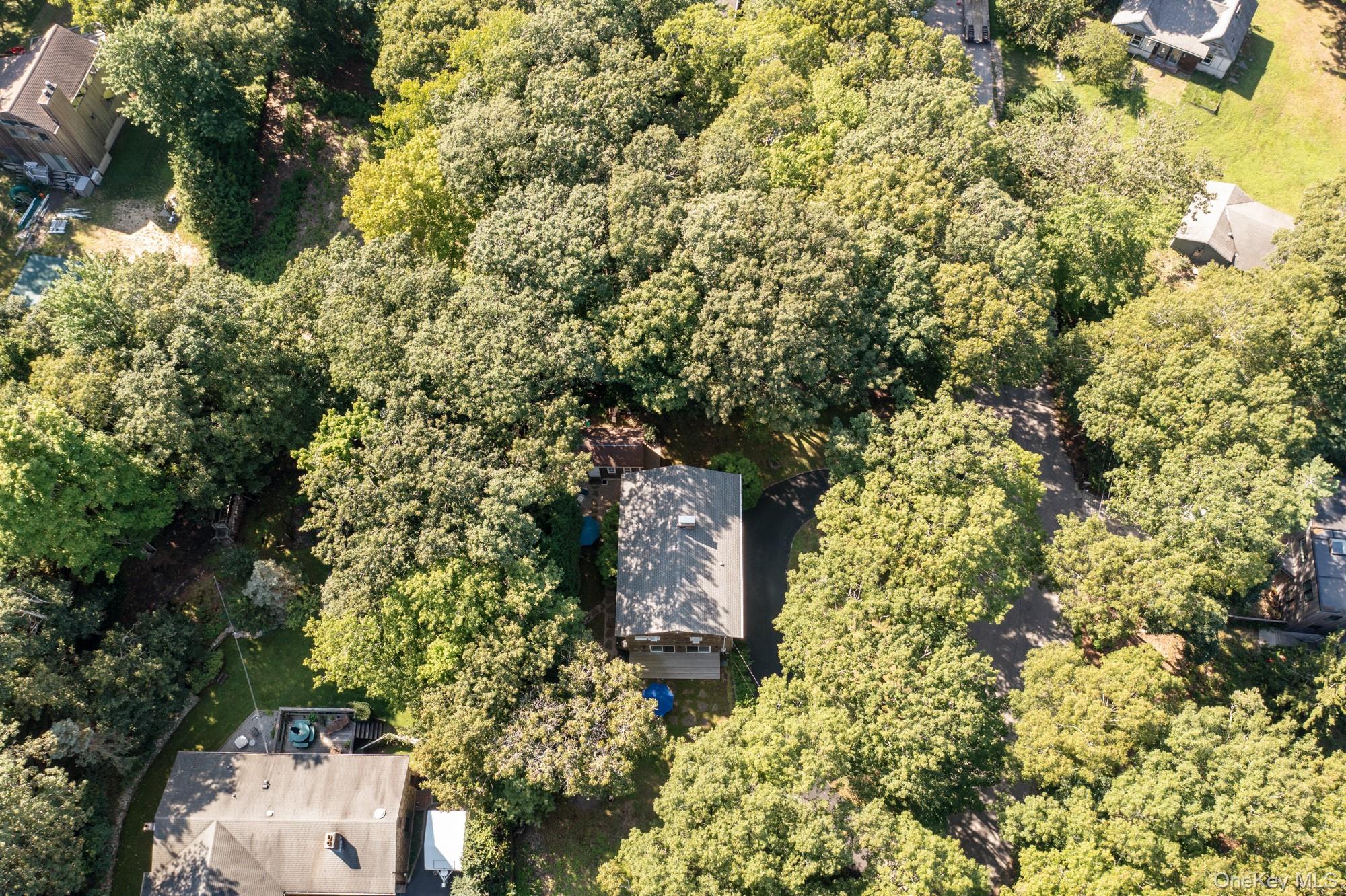 45 Shadyrest Drive — photo 24