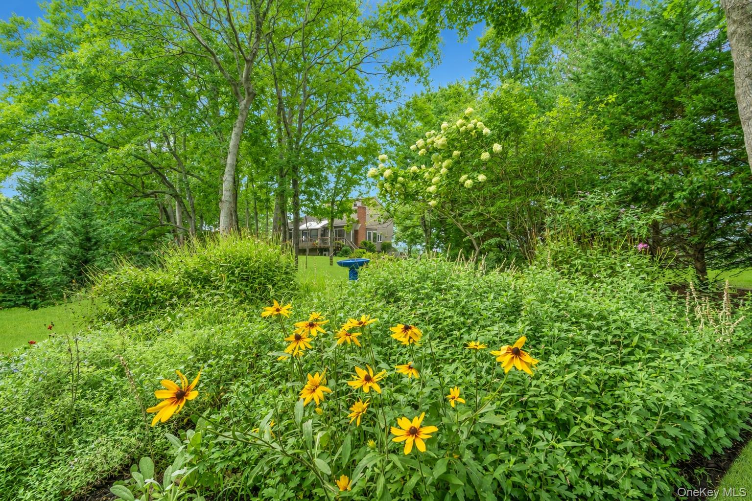 1541 Stillwater Avenue — photo 6