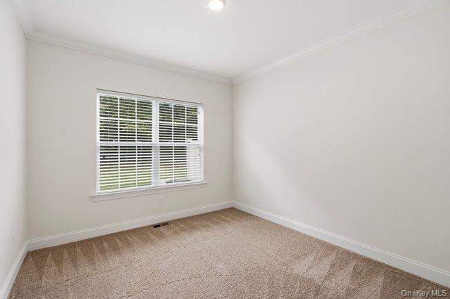 11 Halley Drive — photo 14