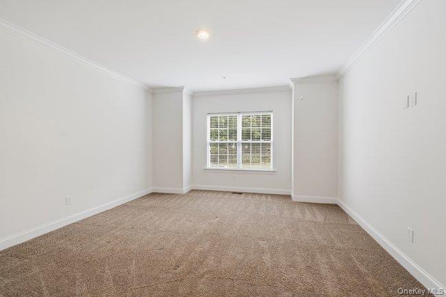 11 Halley Drive — photo 19