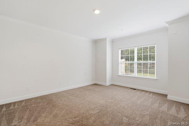 11 Halley Drive — photo 20